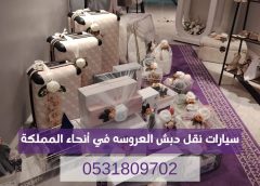 أفضل شركة نقل دبش العروسة حي الصحافة الرياض